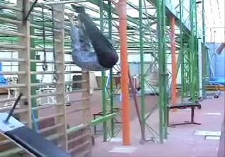 03_abdominalforce.mov